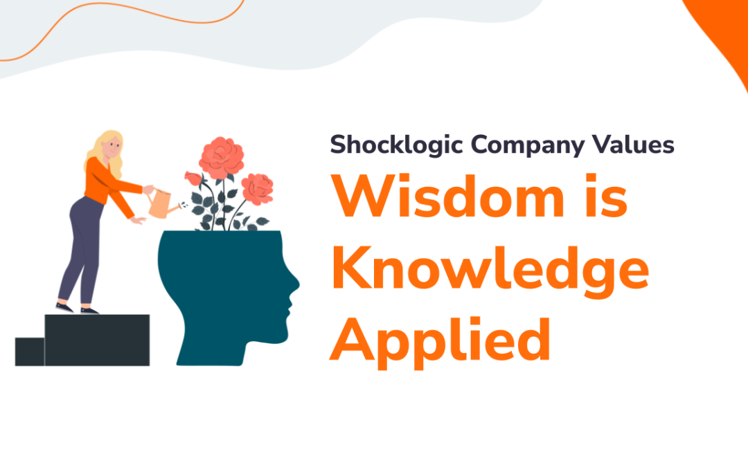 Shocklogic Values: Wisdom is Knowledge Applied